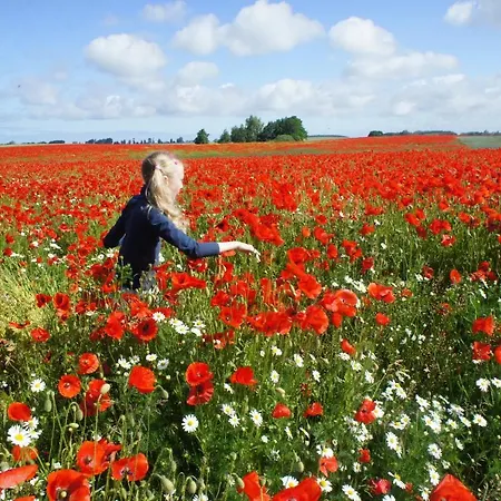 Gaestehaus Landgut Lischow 3* Neuburg (Mecklenburg-Vorpommern)