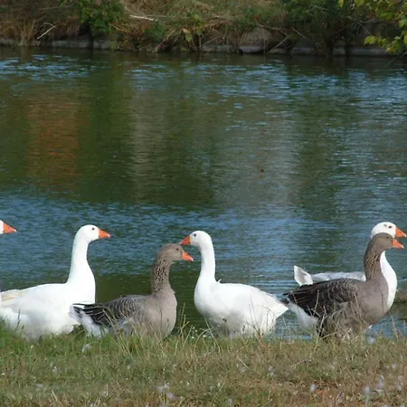 Gaestehaus Landgut Lischow 3* Neuburg (Mecklenburg-Vorpommern)