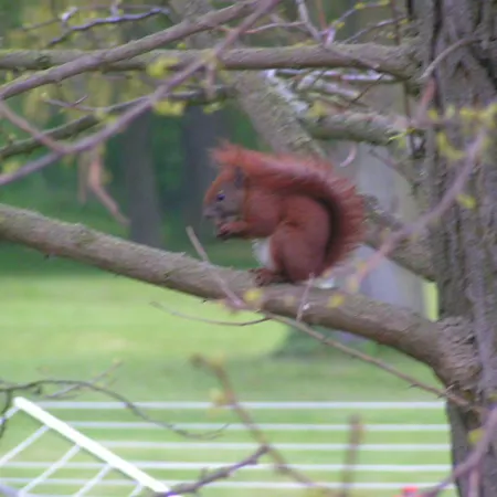 Gaestehaus Landgut Lischow Alojamento de Acomodação e Pequeno-almoço 3*